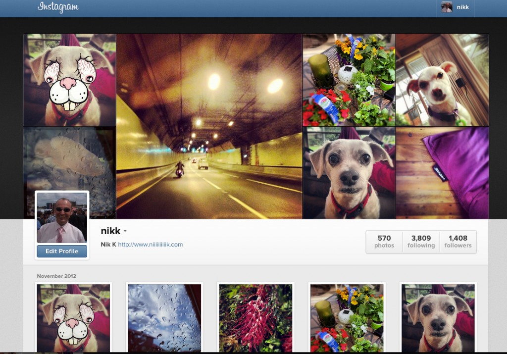 New Instagram Profiles