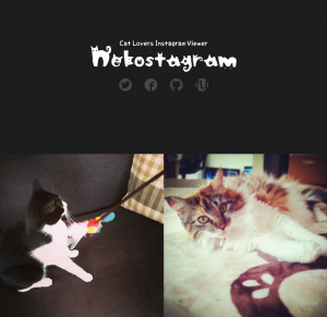 nekostagram